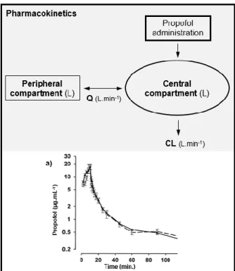 Figure 1.1 - Schematic illustration of propofol pharmacokinetics described by a representative two- two-compartment model