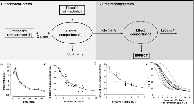 Figure  1.2  –  Schematic  illustration  of  propofol  pharmacokinetics  (1))  and  pharmacodynamics  (2))  described by a representative two-compartment model (1)) with the additional effect-site compartment  (2))