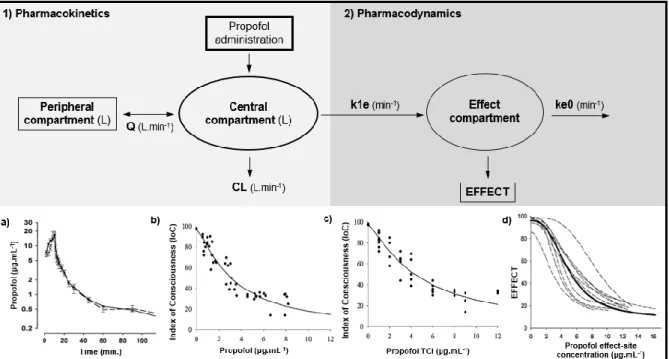 Figure  1.2  –  Schematic  illustration  of  propofol  pharmacokinetics  (1))  and  pharmacodynamics  (2))  described by a representative two-compartment model (1)) with the additional effect-site compartment  (2))