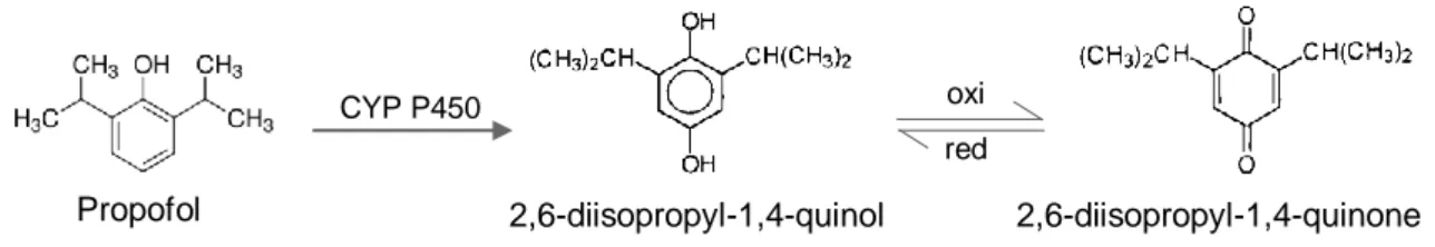 Figure 3.1 – Molecular structure of propofol (2,6-diisopropylphenol), 2,6-diisopropyl-1,4-quinol and 2,6- 2,6-diisopropyl-1,4-quinone