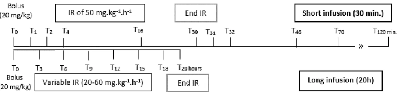 Figure 4.1 – Illustrative representation of the implemented protocol (IR – infusion rate; T – time-point)
