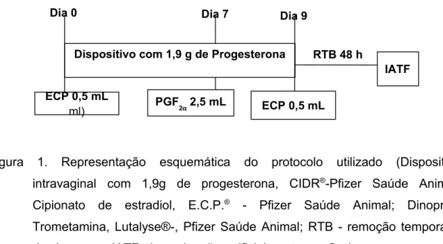 Figura  1.  Representação  esquemática  do  protocolo  utilizado  (Dispositivo  intravaginal  com  1,9g  de  progesterona,  CIDR ® -Pfizer  Saúde  Animal; 