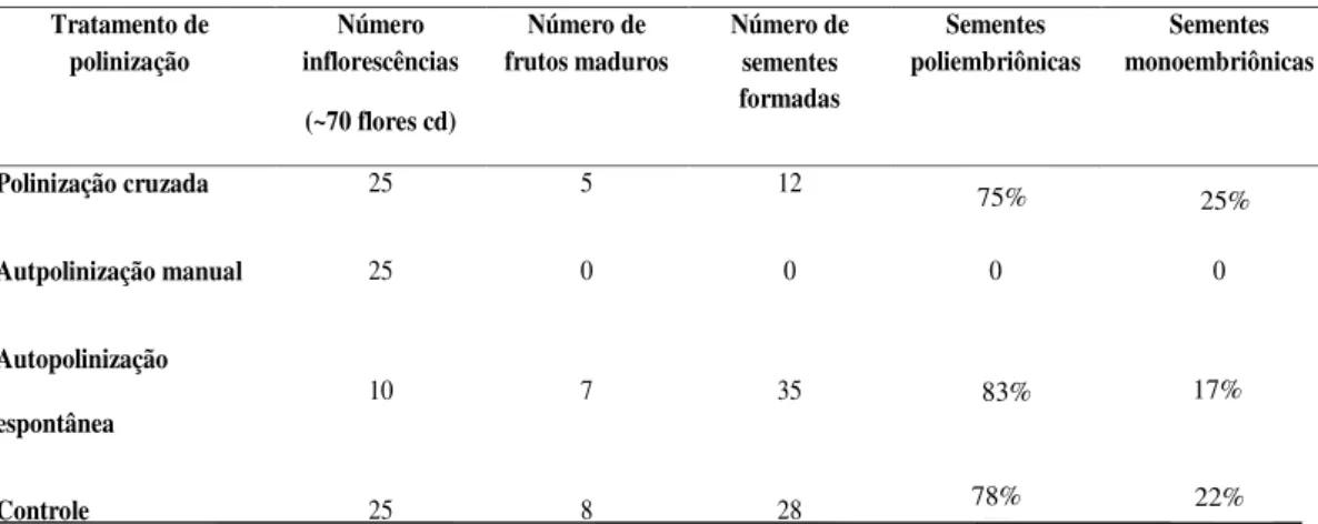Tabela 1: Dados referentes aos resultados dos tratamentos de polinização. Tratamento de  polinização  Número  inflorescências  (~70 flores cd)  Número de  frutos maduros  Número de sementes formadas  Sementes  poliembriônicas  Sementes  monoembriônicas  Po