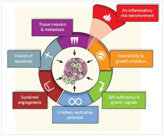 Figure 1.1 – The 6 classical hallmarks of cancer plus one, the inflammatory microenvironment: acquired  capabilities of cancer cells during carcinogenesis