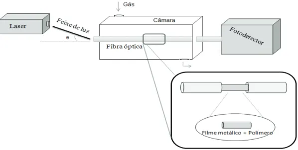 Figura 1.5 - Exemplo da configuração de um sensor de fibra óptica baseado em ressonância de plasma de  superfície