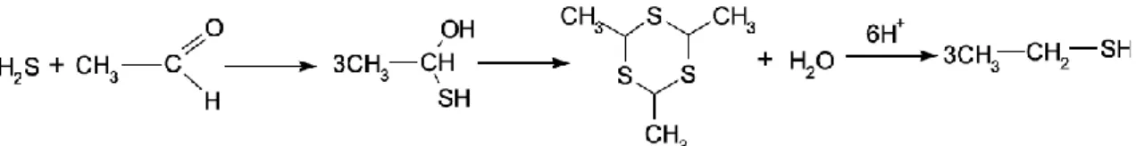 Figura 1 – Formação do EtSH devida à reacção entre o H 2 S e o etanal. 
