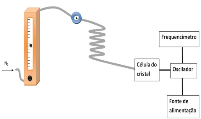Figura 6 – Esquema do arranjo experimental geral para a injecção em fluxo. 