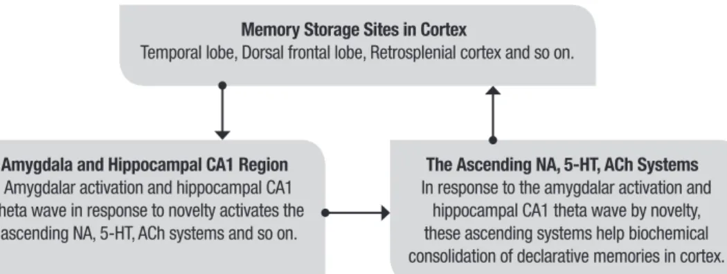 Figure 2. The processes of limbic-reticular coupling theory for memory recall.