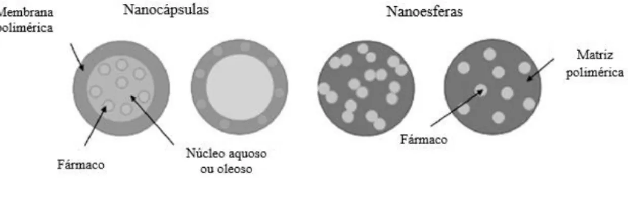 Figura  4  -  Representação  esquemática  de  nanopartículas  poliméricas:  nanocápsulas  e  nanoesferas
