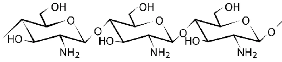 Figura 6 - Estrutura química do quitosano. Adaptado da referência (53). 