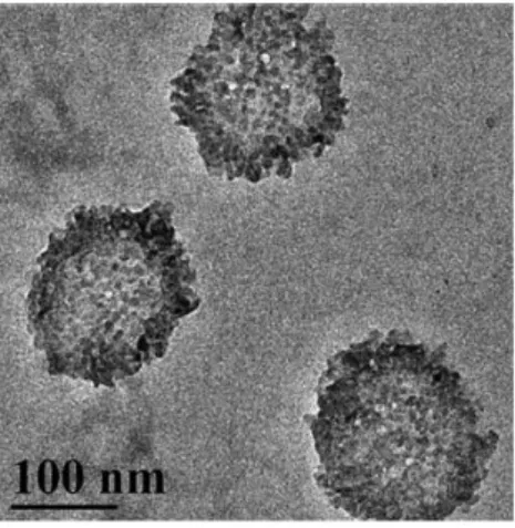 Figura 7 - Imagem de Microscopia Eletrónica de Transmissão (TEM) das nanocápsulas de quitosano  obtidas por Chen et al