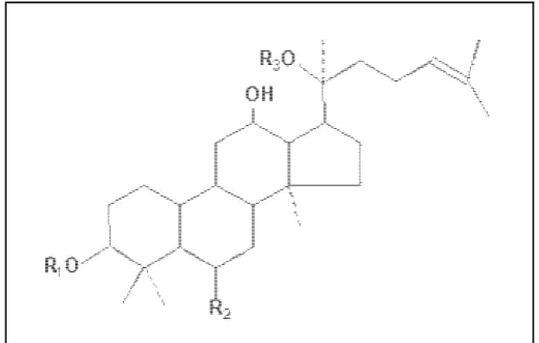 Figura  3.  Estrutura  química  dos  ginsenosídeos  mais  comuns 