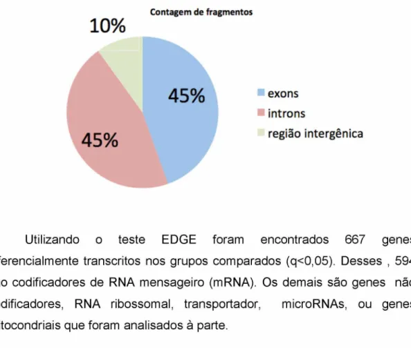 Fig. 2 -  Contagem de fragmentos únicos alinhados ao genoma de referencia  de  Drosophila melanogaster distribuído por origem.