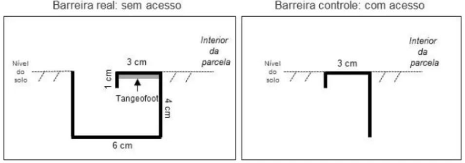 FIGURA 4: Diagrama das barreiras real e controle usadas nos tratamentos de parcelas com e  sem  proteção contra saúvas, respectivamente, delimitadas próximas a trilhas de  forrageio ativas de sauveiros de  Atta laevigata  em uma área de cerrado sentido  re