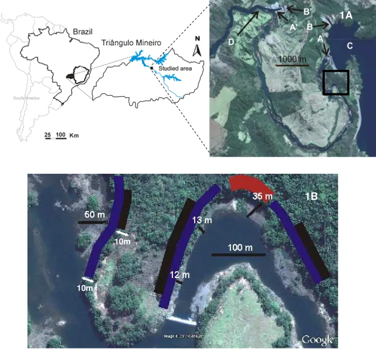 Figure  2.1  –  Satellite  image  of  a  riparian  forest  on  southern  Brazil.  “1A”  Study  area  image  with  square showing plots locations