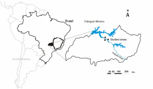 Figure 3.1 - Location of three seasonal dry forests which were affected by Amador Aguiar Complex  Dam,  on  Triângulo  Mineiro,  southern  Brazil