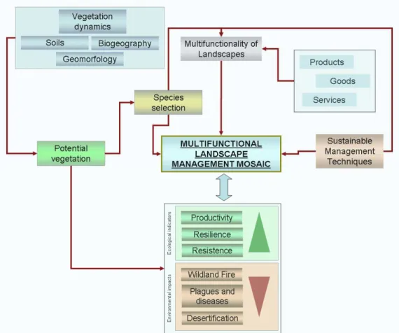 Fig. 2.1 - Multifunctional landscape management mosaic (Guiomar et al., 2007) 