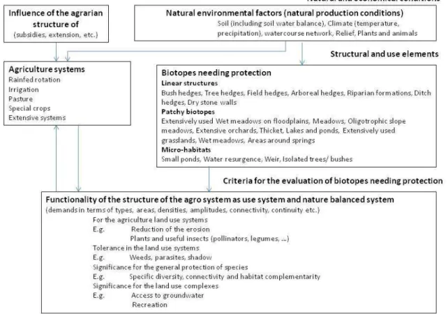Fig.  3.2  -  Functional  relations  and  structural  elements  in  an  agro  system  to  determine  evaluation criteria (Kaule, 1991, pp