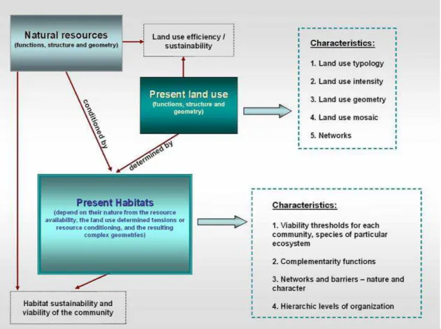 Fig. 4.6 - Interactions between present land uses, present habitats and natural resources 