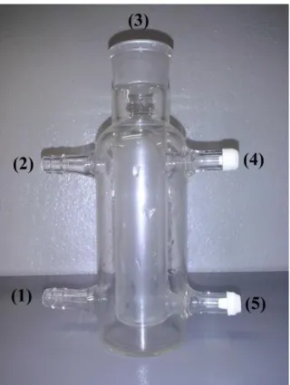 Figura  3.2  - Imagem  da  célula  de  equilíbrio:  (1)  Entrada  de  água;  (2)  Saída  de  água;  (3)  Entrada dos reagentes; (4) e (5) septos de borracha para amostragem  