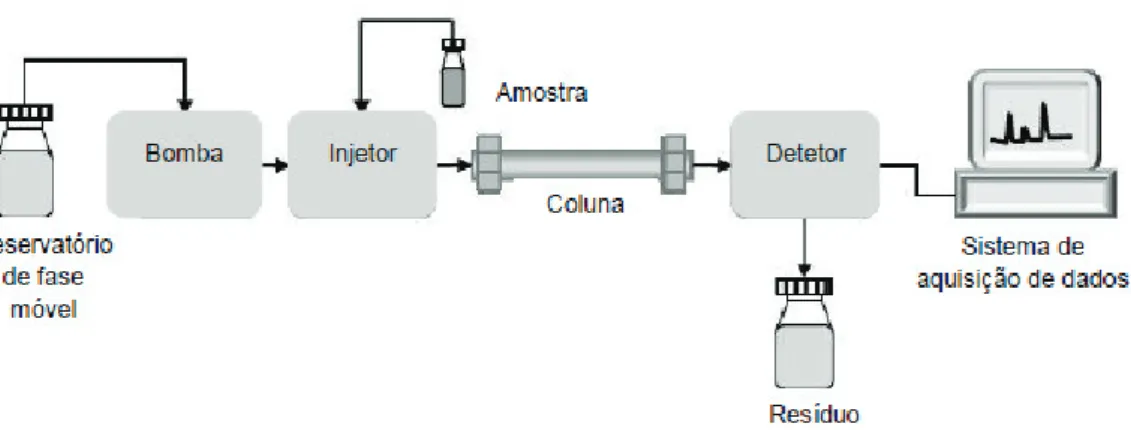 Figura 9- Esquema dos vários componentes de um cromatografo de HPLC. Adaptado de (89) 