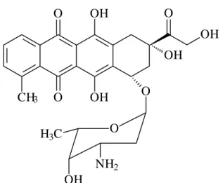 Figura 1 - Fórmula estrutural do quimioterápico doxorrubicina. 