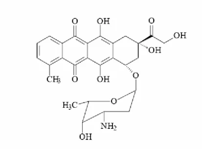 Figura 4. Fórmula estrutural da doxorrubicina. 