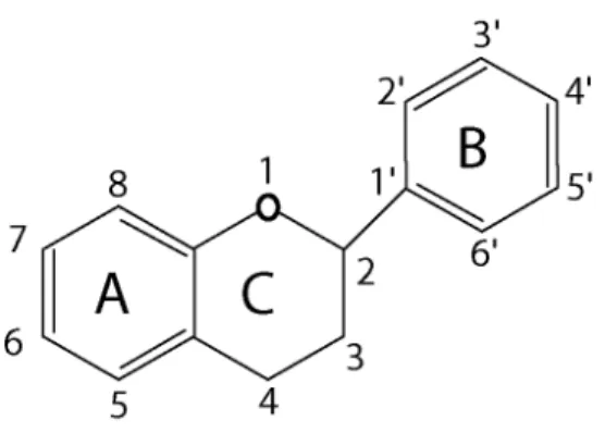 Figura 2. Estrutura básica dos flavonóides (Wollgast et al., 2001). 