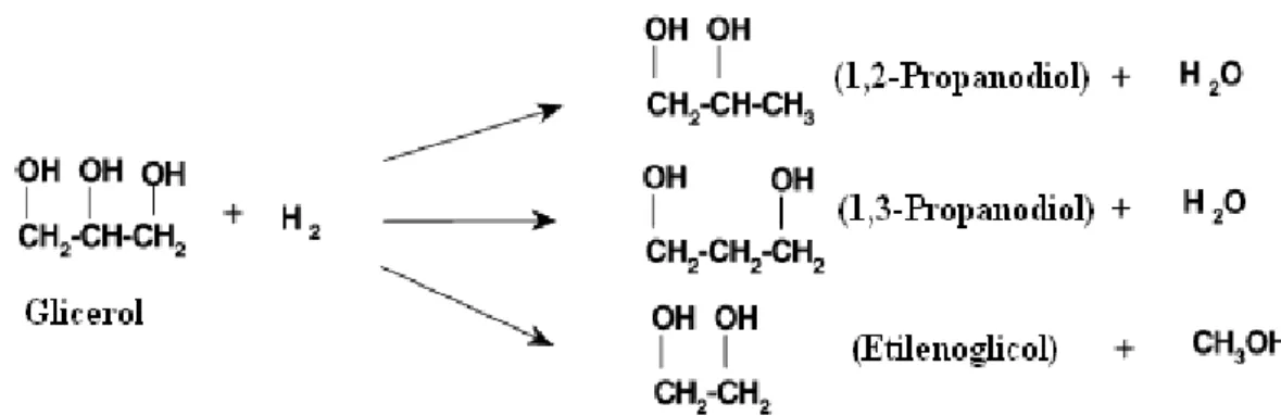 Figura  2.1.  Resumo  da  reação  global  de  conversão  de  glicerol  para  propanodióis  e  1,2- 1,2-etanodiol (Adaptado de Dasari et al., 2005)