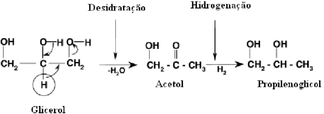 Figura 2.3. Mecanismo de reação de conversão de glicerol para 1,2-propanodiol proposto por  Montassier et al
