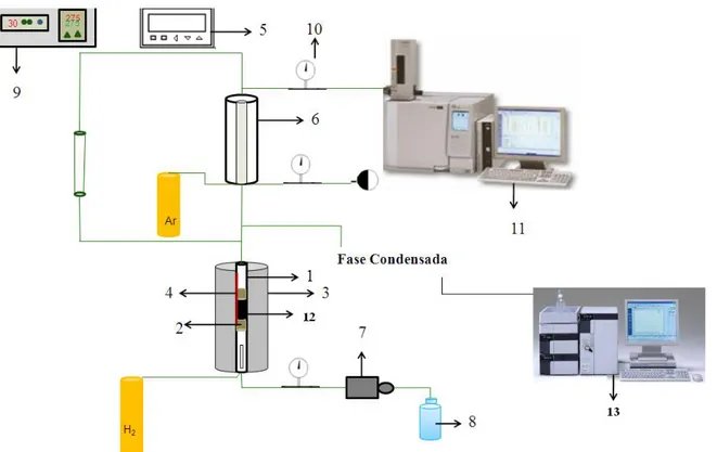 Figura 3.1. Esquema da Unidade Experimental da Reforma Líquida do glicerol. 