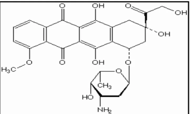 Figura 6: Fórmula estrutural da doxorrubicina. Fonte: KATZUNG, 2001. 