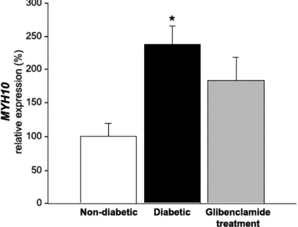 Fig.  1  MYH10  expression  in  the  brains  of  non-diabetic,  diabetic  and  diabetic  rats  treated  with  glibenclamide
