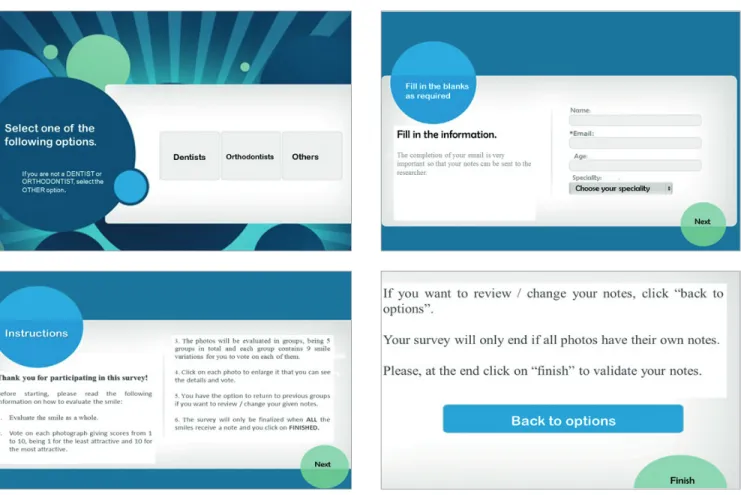 Figure 5 - Website print screens.