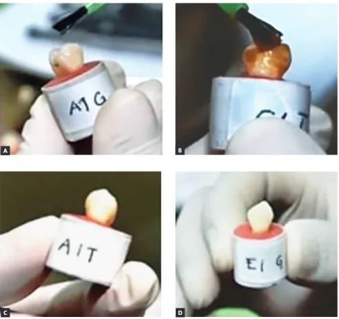 Figure 2  - Specimens before application of SA (A); 