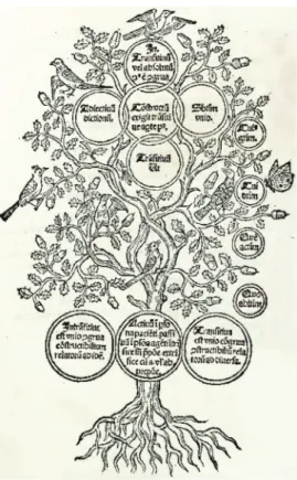 Figure 2:  a vii v