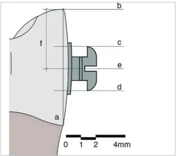 Figure 5  - Schematic drawing of the lines used for the evaluation of bracket  positioning: line a = representative line of the labial plane (most anterior point  of the cementoenamel junction to the most incisal point (or labial cusp tip)  of the tooth); 
