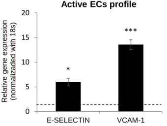 Figure 3: Quantitative gene expression of E -selectin and VCAM -1 . 