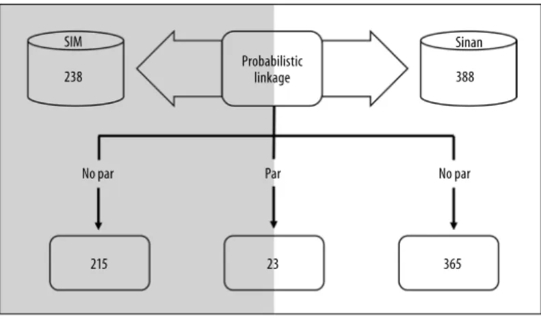 Figure 1 – Probabilistic linkage of schistosomiasis case and death records reported on the Mortality Information  System (SIM) and the Notifiable Diseases Information System (SINAN), city of Recife, Pernambuco,  2007-2013