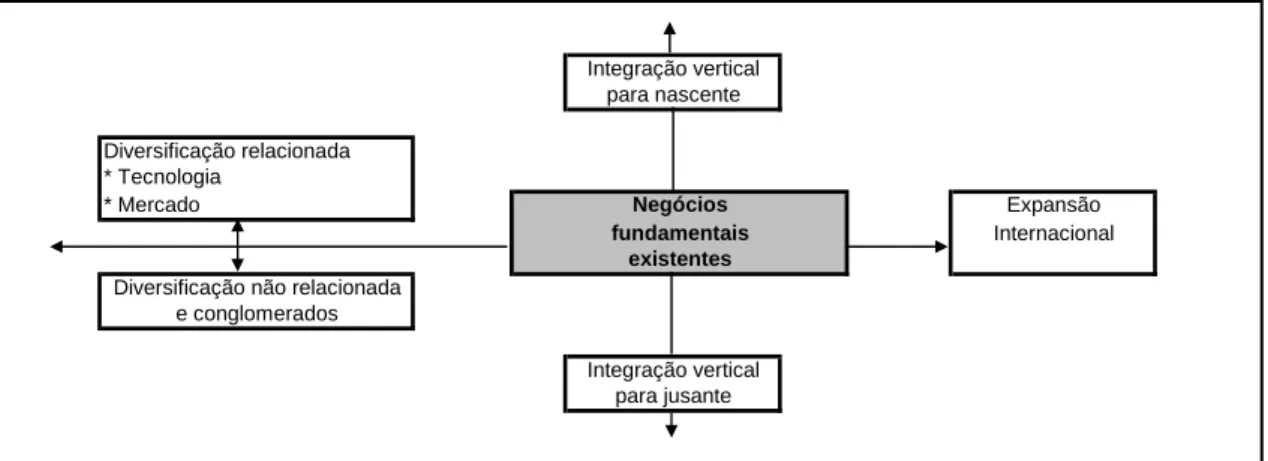Figura 2.1 - Principais decisões estratégicas  Fonte: Adaptado de Ferreira (2002) 
