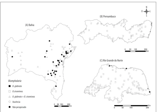 Figura 2 – Distribuição dos hospedeiros intermediários do Schistosoma mansoni na Bahia (A), Pernambuco (B) e  Rio Grande do Norte (C), dezembro de 2012 – junho de 2014