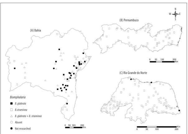 Figure 2 – Distribution of Schistosoma mansoni intermediate hosts in Bahia (A) Pernambuco (B) and Rio Grande  do Norte (C), December 2012 - June 2014