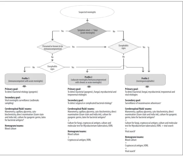 Figure 1 – Suggested algorithm for simplified initial approach and classification of suspected meningitis cases  at the Natan Portella Institute of Tropical Diseases, Teresina, Piauí