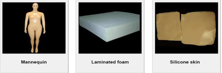Figure 1.  Materials used for simulator construction for insulin administration. Ribeirão Preto, 2017