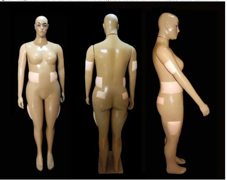 Figure 3.  Prototype of a simulator for insulin administration in anterior, posterior and lateral view