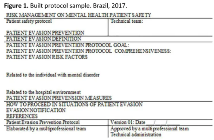 Figure 1.  Built protocol sample. Brazil, 2017.
