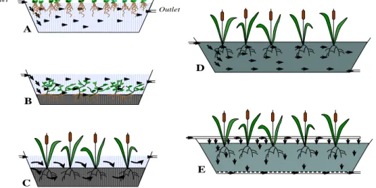 Figura 1.5. Diferentes tipos de LCMs (A, sistemas de fluxo superficial com plantas flutuantes; 