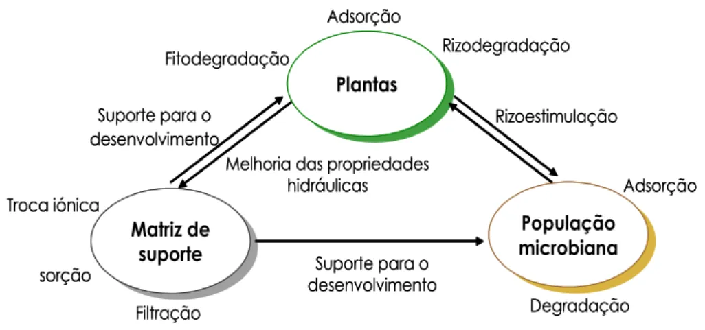 Figura 1.6. Esquema das interações entre os componentes de um LCM 