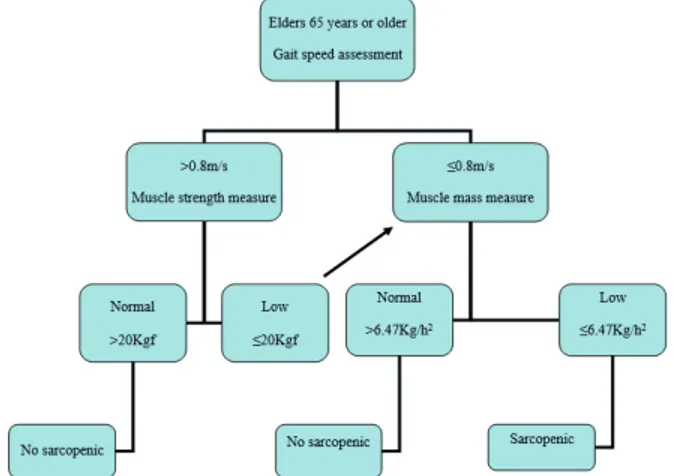 Figure 1  - EWSOP suggested algorithm for sarcopenia case find- find-ing in older individuals — Adapted from Cruz-Jentoft et al