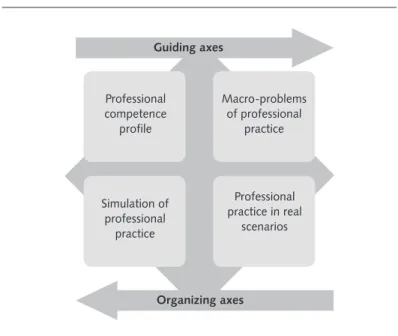 Figure 1. Schematic representation of the guiding and organizing elements  of the curricular matrix, adapted from the courses’ syllabuses 26-36
